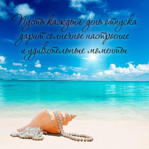 море и ракушки