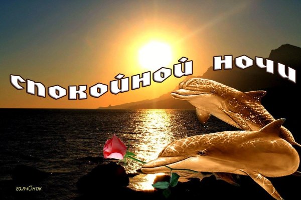 добрая ночь