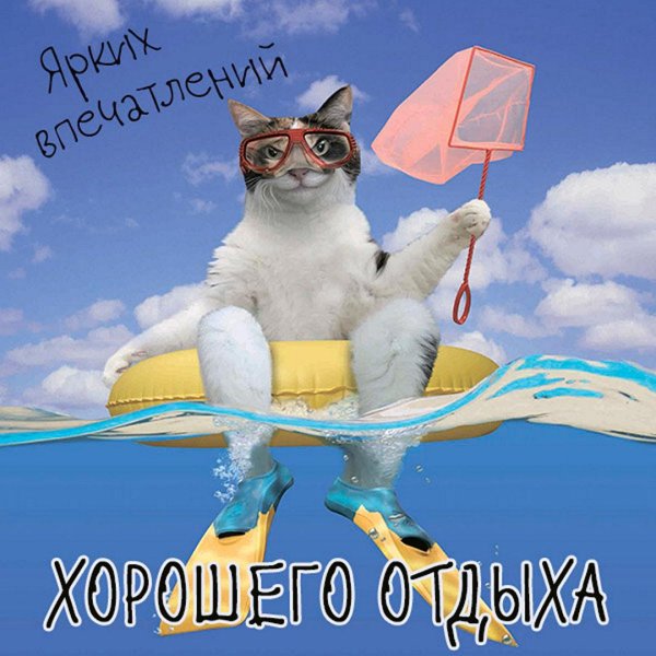 открытка отпуск