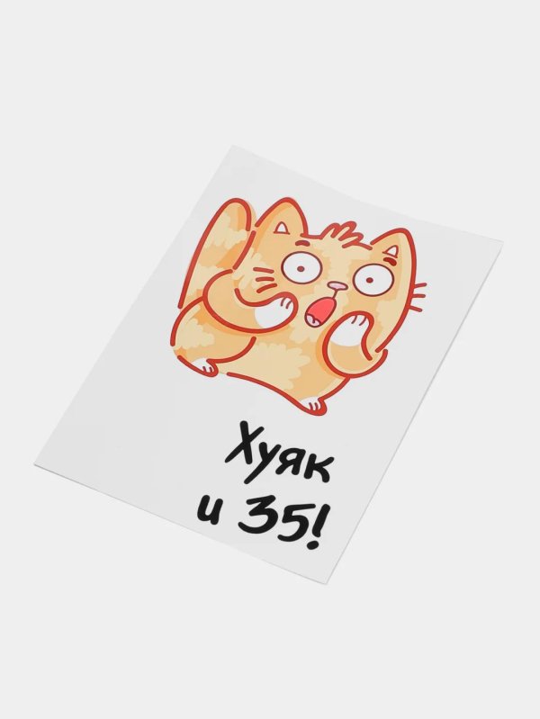 стикер кот