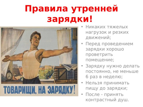 товарищи на зарядку