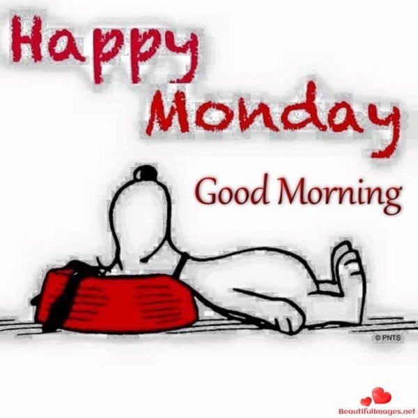 happy monday morning