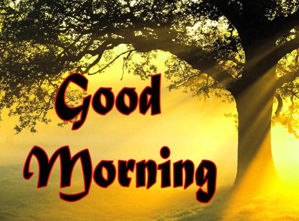 утро на английском