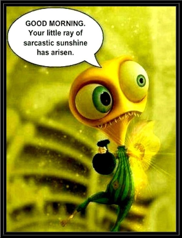 смешной мультик