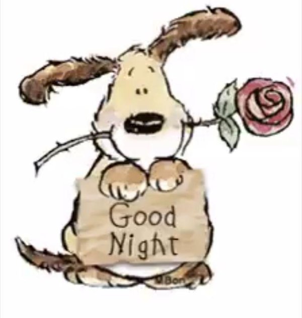 good night sweet dreams