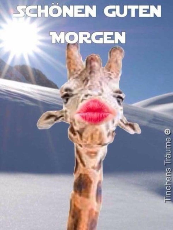 гутен морген