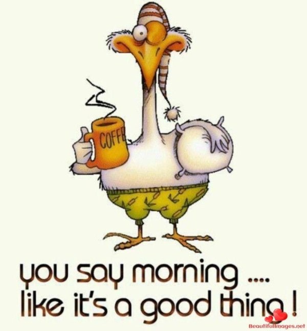 открытка с добрым утром смешная