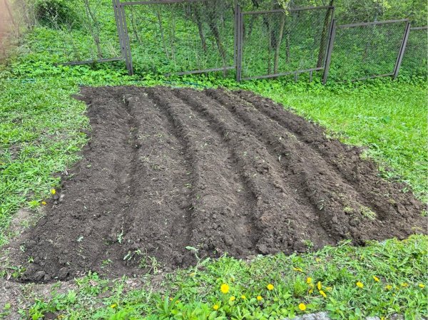 вспашка огорода