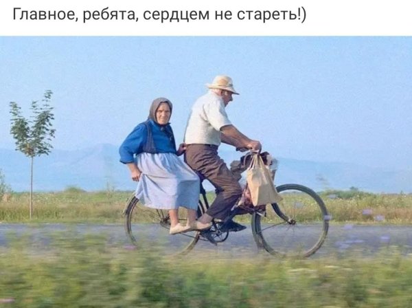 бабуля на велосипеде