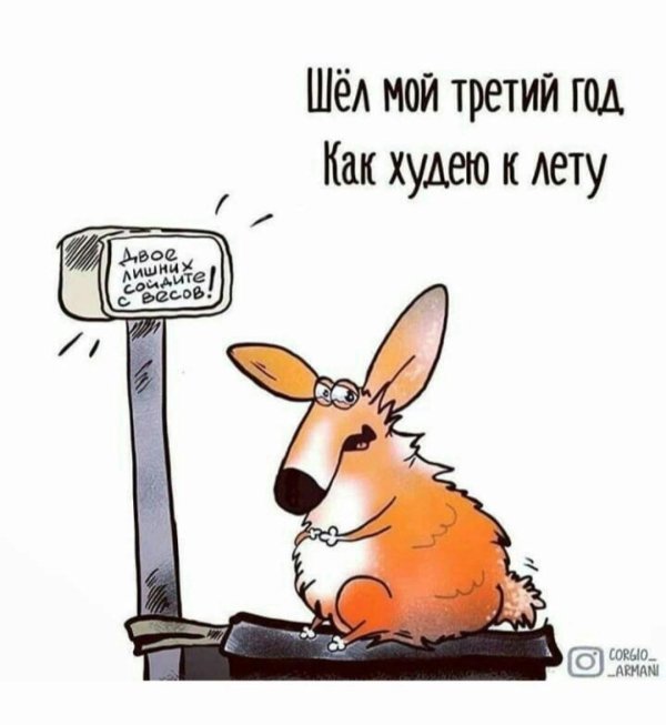 шутки про фитнес