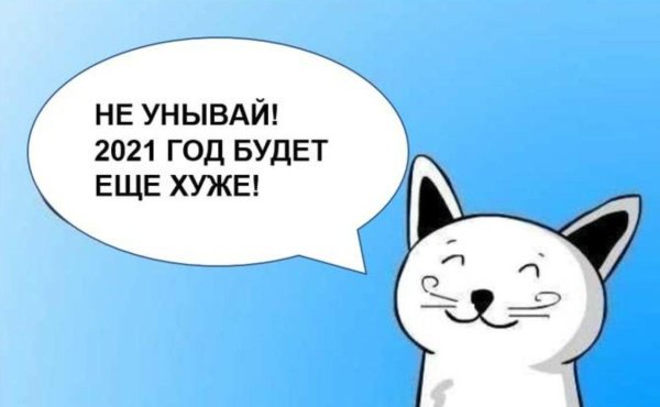 кот который