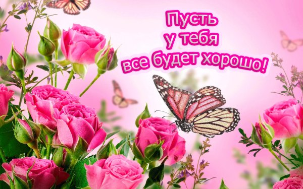 красивая цветы