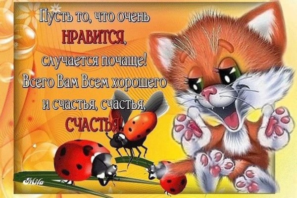 день счастье случается