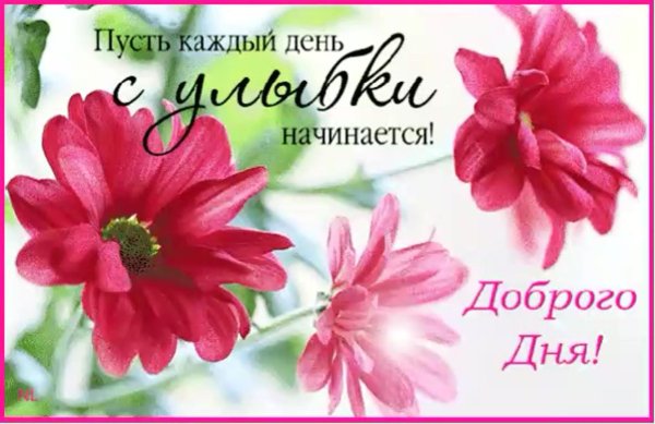 доброе пожелание