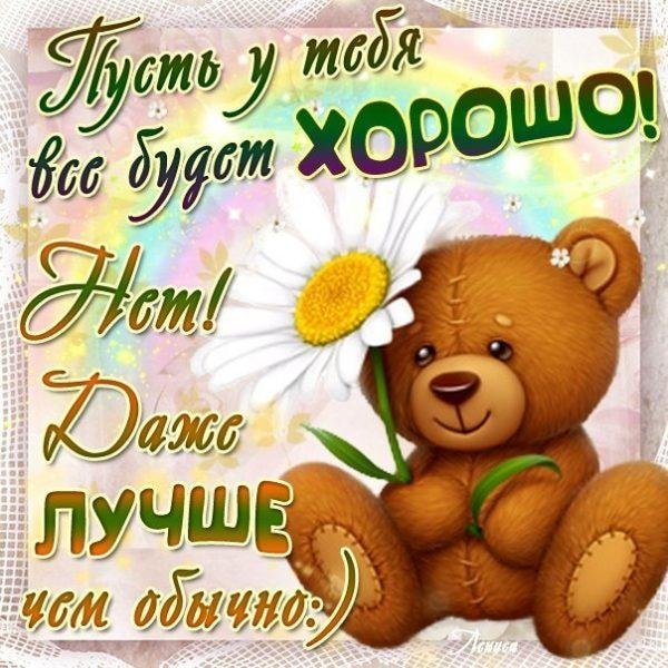 медвежонок с ромашками