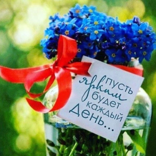 цветок незабудка