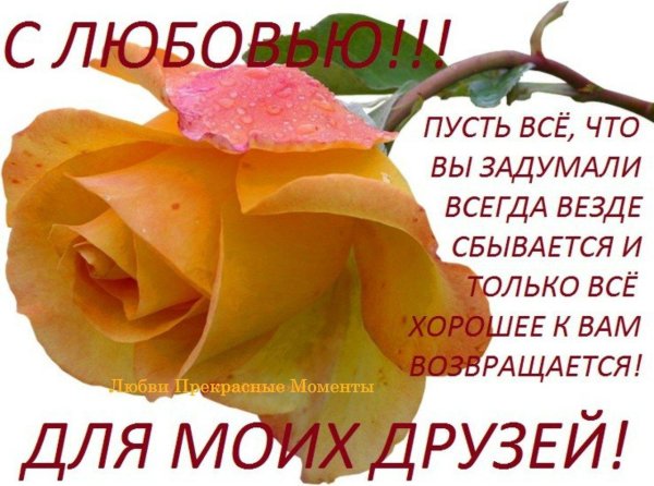 моему другу