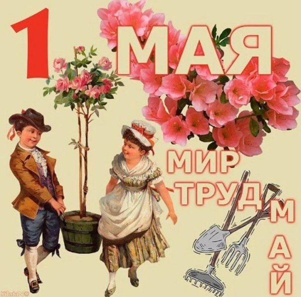 мир труд май