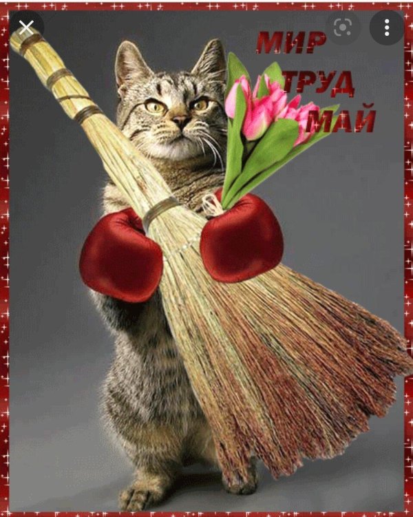 мир труд май открытка