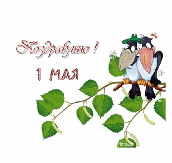 с 1 мая зайчик