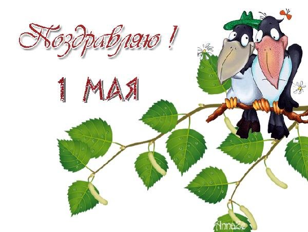 с 1 мая зайчик