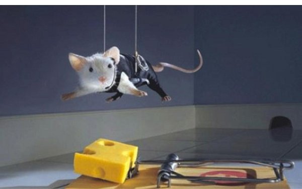 мышь прикольная