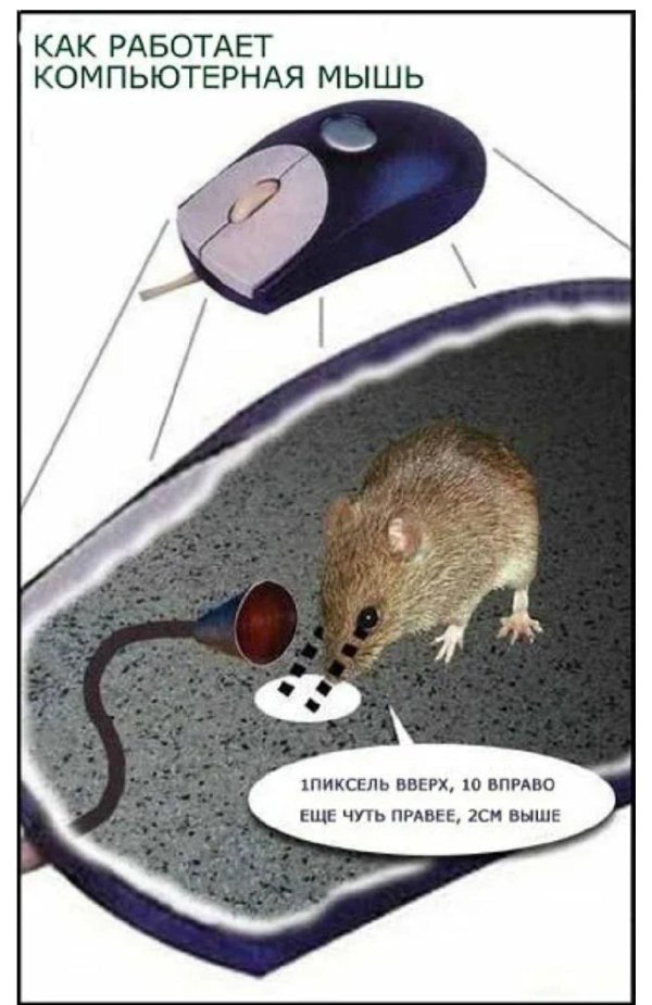 компьютерная мышка