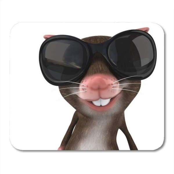 крыса в очках