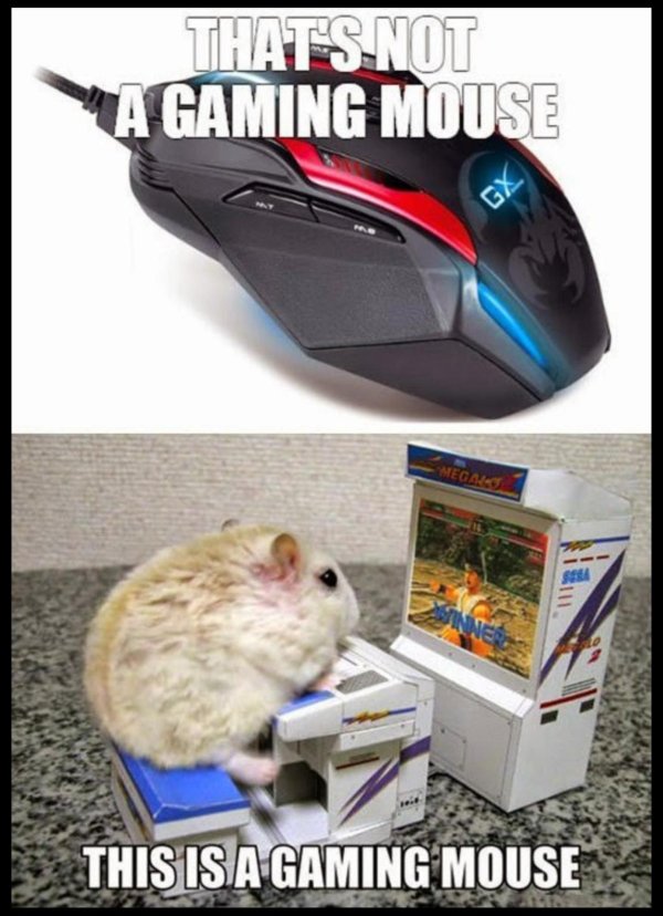 хомяк компьютерный