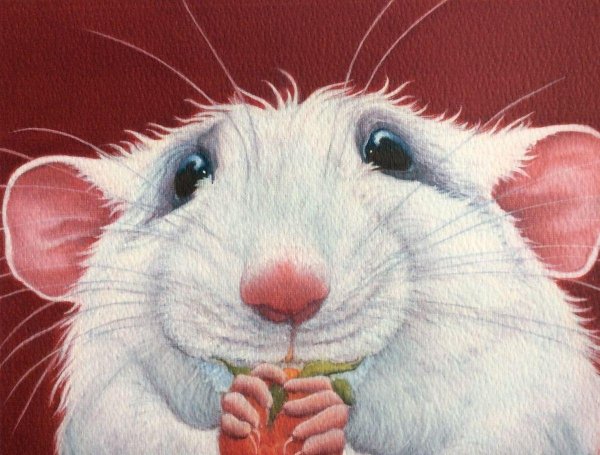 белые крысы картины