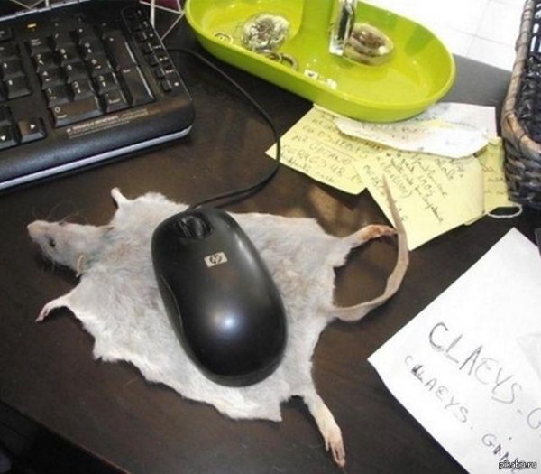 смешные коврики для мыши
