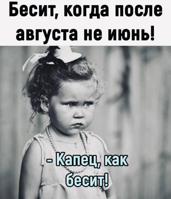 веселые высказывания