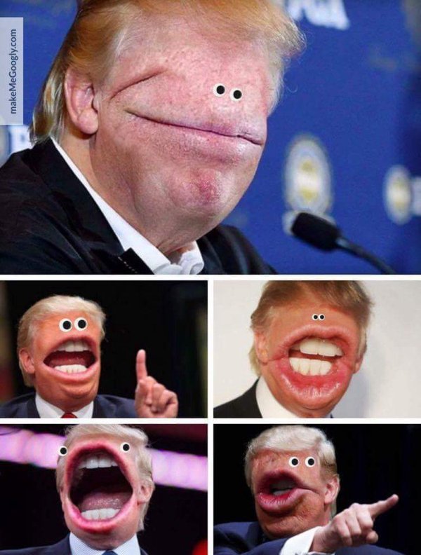 лицо трампа