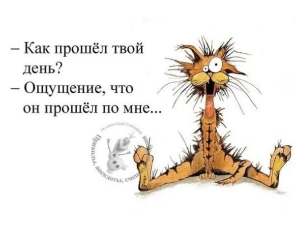 веселые высказывания