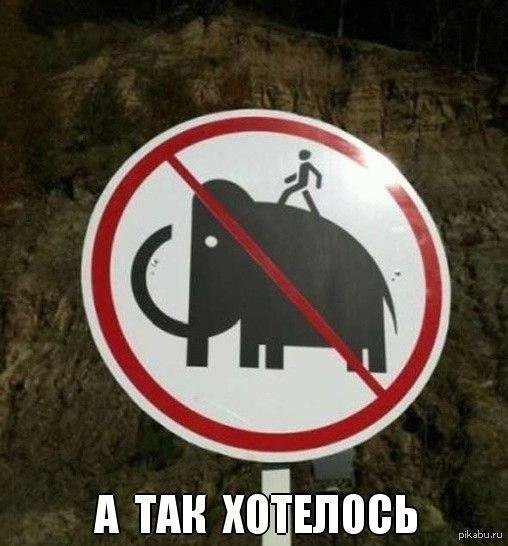 знаки осторожно