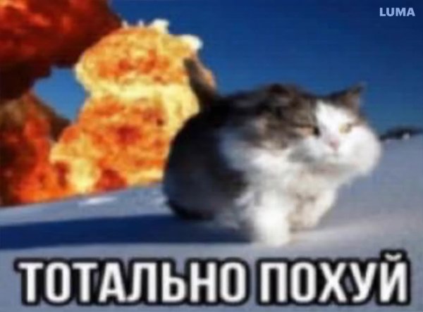 кот взрыв