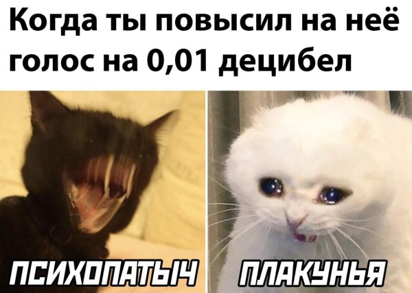лучшие мем
