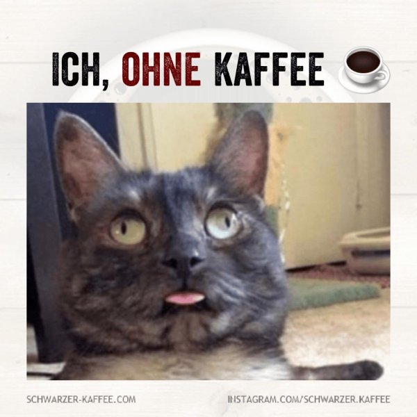 сигнал потерян