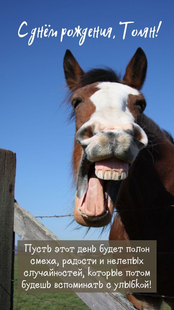 ржущий конь