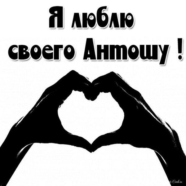 любимому антоше
