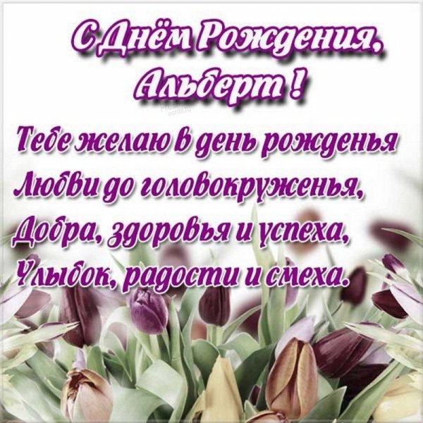 поздравление с днём рождения альберт