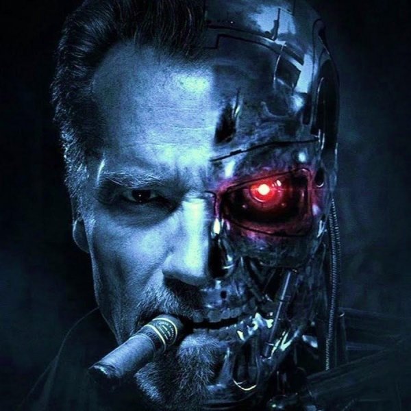 terminator 1
