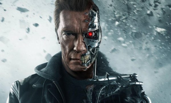 arnold schwarzenegger terminator