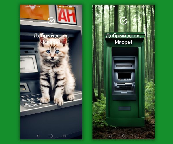 кот на банкомате