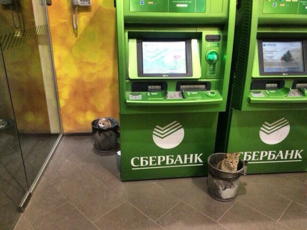 банкомат сбера