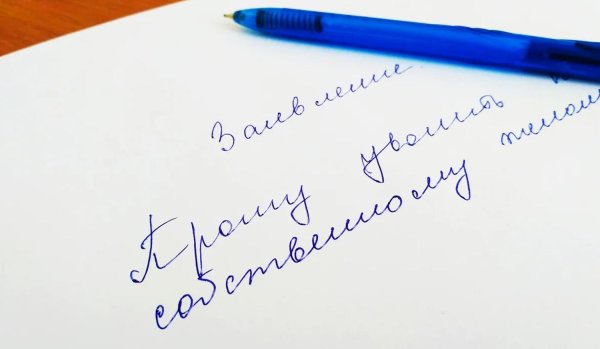 уволена по собственному желанию