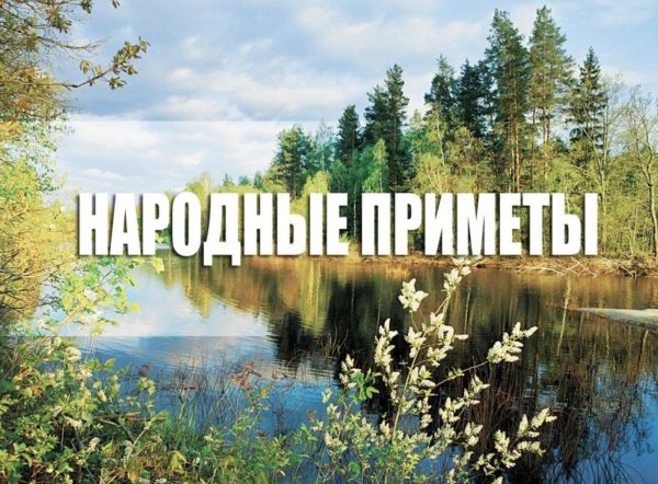 народная примета