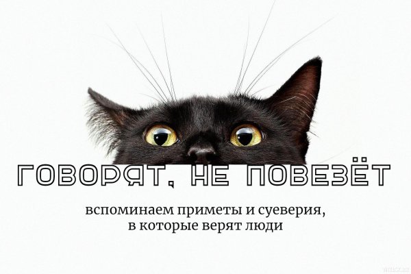 кот выглядывает