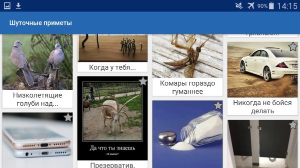 комар в