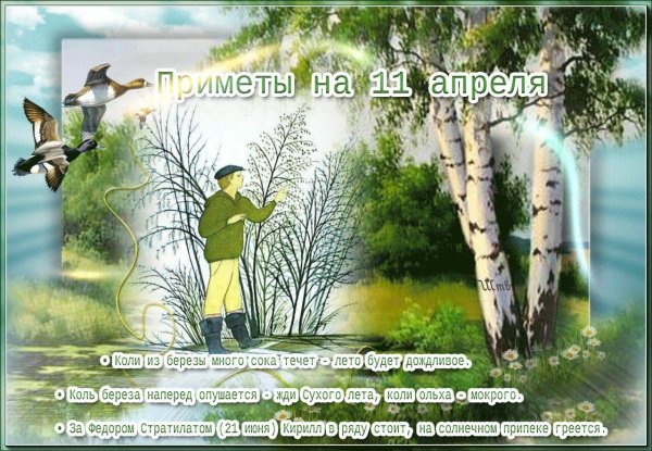 11 апреля праздник берещенье